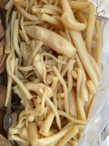     TPU  