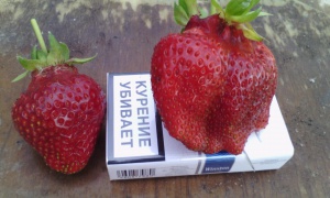 50 ������ �������� �� 1 �� � �����
