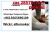 ������ Pmk Supplier Pmk Glycidate Oil Cas 28578-16-7 with Fast Delivery, ���������