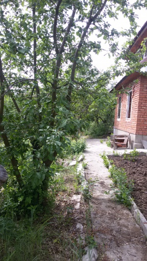 ������ ����