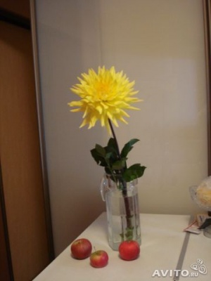   3- ,  