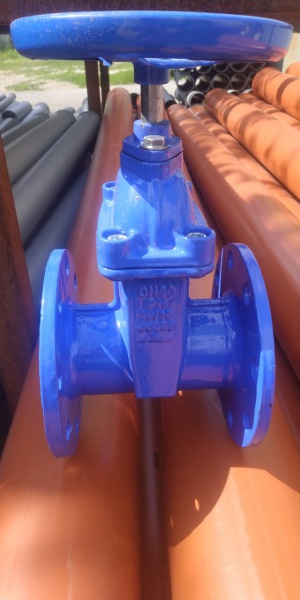     3039