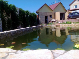 ������������ �����