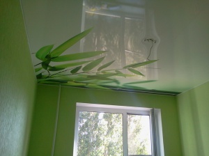 �����  �������� �������?