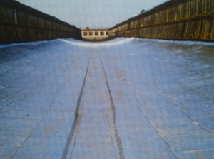 ������ ������ ����.���������� � ������.����������� ������ ������