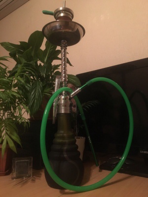 ������ ������ AMY