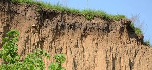 ����������������. ����������������.