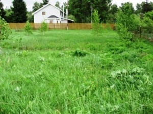 ������� 10 ��� ���