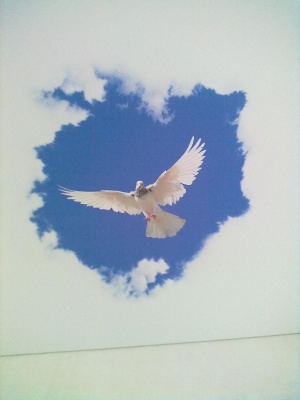 �����  �������� �������?