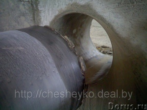 ����� �������� ������� ���������