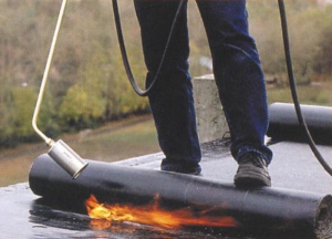 ������ ������