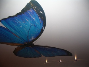 �������� ������� ������ �� �������