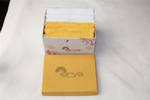 Arya 