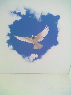 �����  �������� �������� �������?