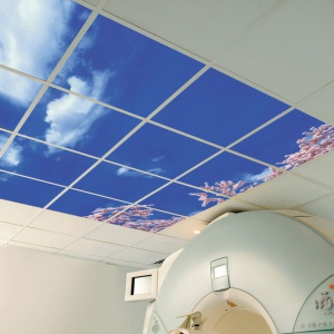 ���������� ������� / ������� /, �������� ������� ��� ����.