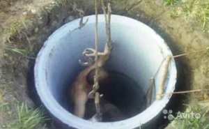 ����������� ��� ����