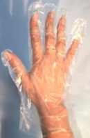 �������� ����������� ��������������