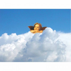 12 ��� ������������� �������� �������!