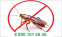 38jbn49id.PNG