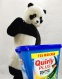    Quirly plus 10 